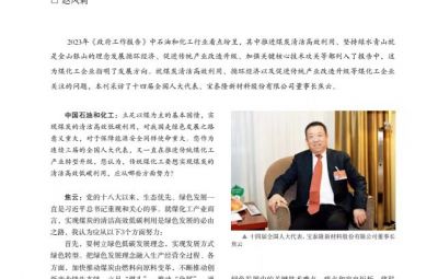 打破傳統(tǒng)走綠色轉型之路——訪十四屆全國人大代表、寶泰隆新材料股份有限公司董事長焦云
